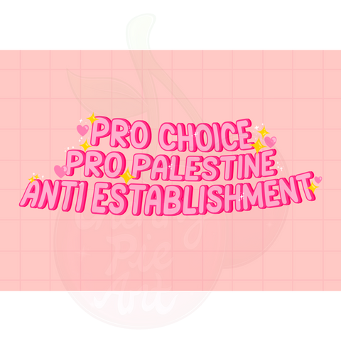 Pro choice pro palestine anti establishment print
