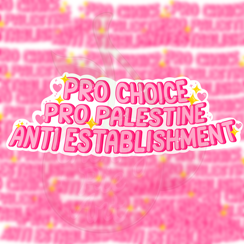 Pro choice pro Palestine anti establishment sticker