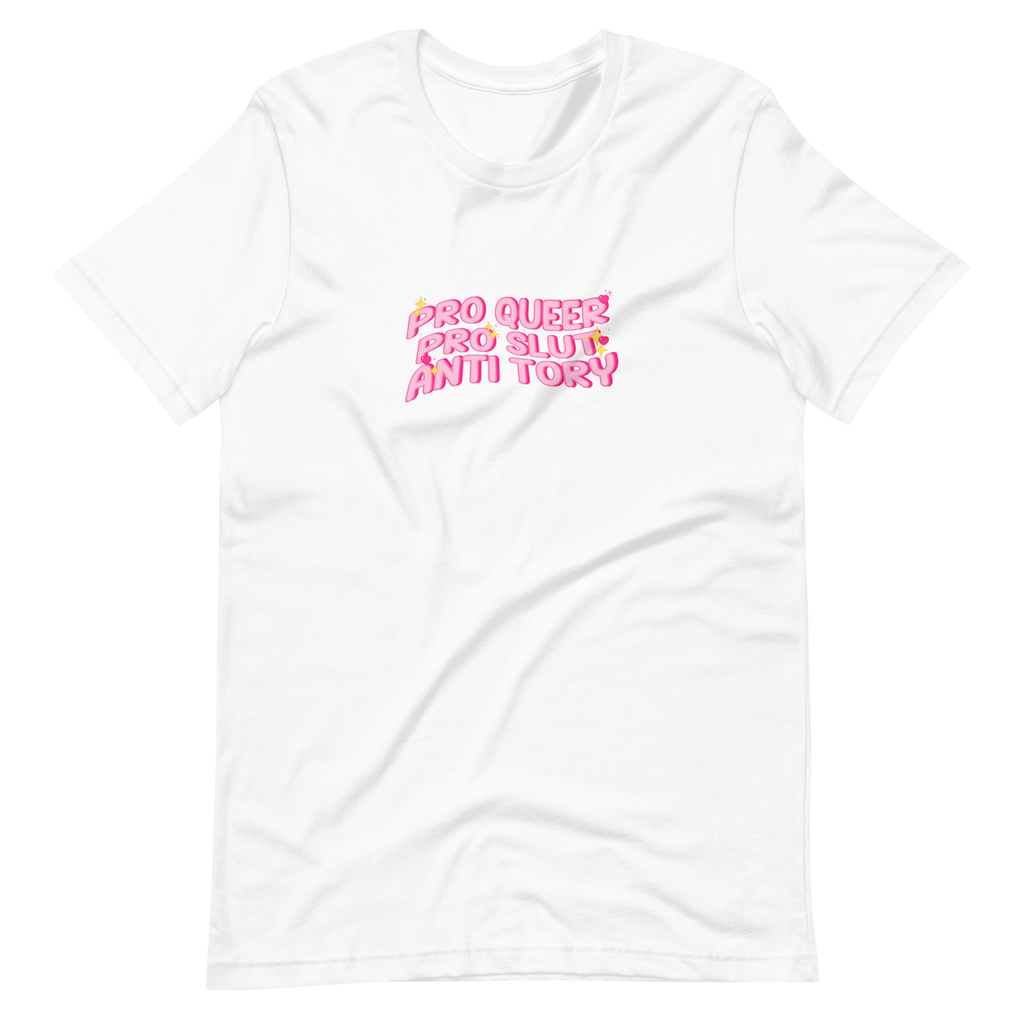 Pro queer pro slut anti tory t-shirt