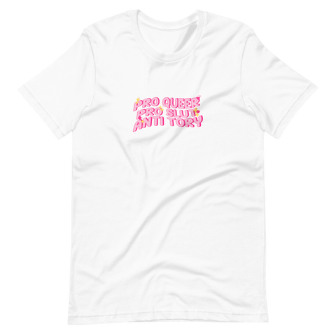 Pro queer pro slut anti tory t-shirt